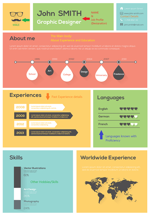 simple infographic resume for freshers
